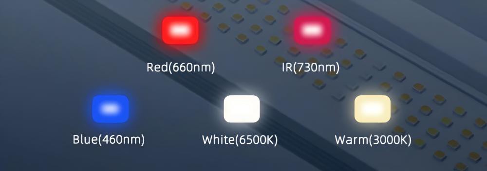 Light Source.jpg Light Source.jpg